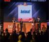 European Bea, here are the winners of the 2013 edition
