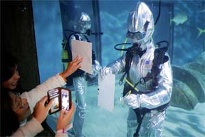 UK – Swimming with sharks at Sea Life London Aquarium