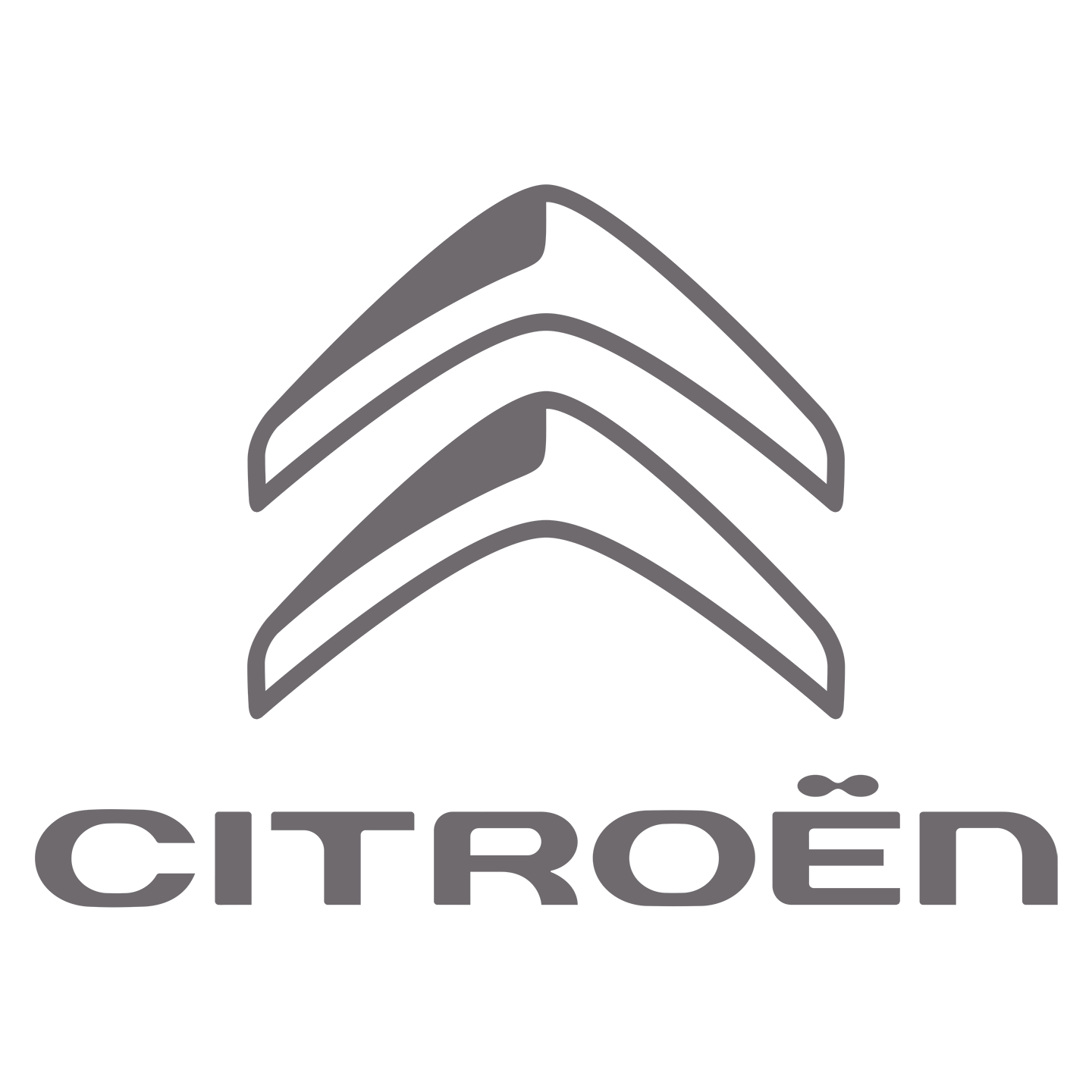 Citroën Winterland Tour